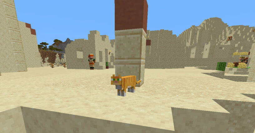 Gato parado en un pueblo del desierto en Minecraft