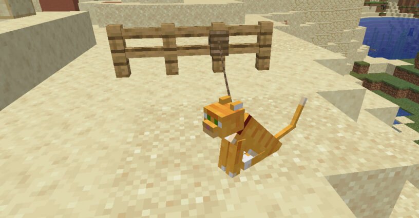 Gato con correa atado a una valla en Minecraft