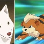 7 mejores perros de anime, clasificados