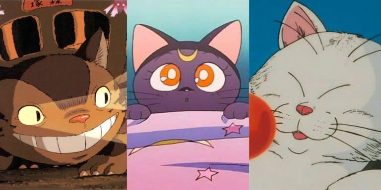9 mejores gatos de anime, clasificados